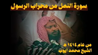 سورة النمل تلاوة أستثنائية الشيخ محمد ايوب 