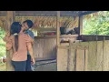 Download Lagu Our Life, Harvesting Fruit To Bring To Maket, 360 Days In Camp