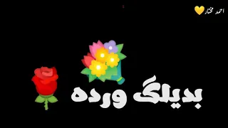 حالات واتس إسلام نبوي بديلك ورده وياريت تخديها مني من مهرجان اسكت ي قلبي 