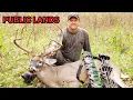 Top 6 Public Lands in Alabama for Deer Hunting