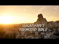 GALATIANS 2 NIV BIBLE with text