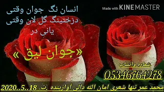 محمد عمر تنها شعری امان الله دالی آوازینده جوان لیق باره دن محل ی ساز دندنها