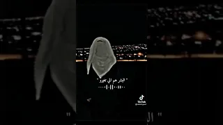 أجمل أبيات شعر   خليجي ممكن تسمعه    دندنها