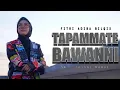 Download Lagu Tapammate Bawanni - Fitri Adiba Bilqis || Karya Zainal Kamal (Cover)