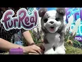 New Furreal Pets Ricky Pup Rock-a-too Bird and Munchin Rex
