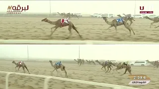 ش3 همس لـ خميس محمد خميس عويضه المريخي السباق المحلي الأول 11 09 2025 لقايا بكار عمانيات 6 20 75 