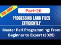 How to Process Large Files Efficiently Part-26