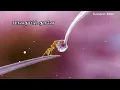 Download Lagu Ninaithadhu Ellam ll Oru Kuppai Kadhai ll Tamil WhatsApp Status Video