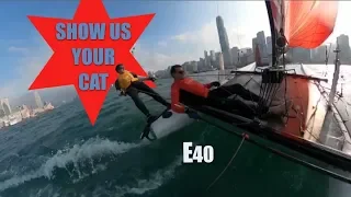 Show us your cat! Episode 40 Poland, USA and Hong Kong