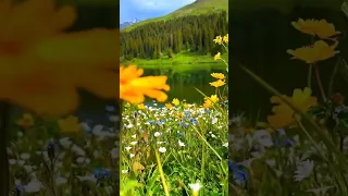 ROZAVIN Вдалині за селом Official Audio 