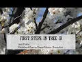 First Steps in Tree ID