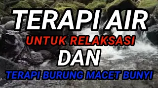 terapi air gemericik suara air mengalir untuk relaksasi dan terapi burung macet bunyi