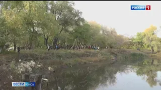В Омске высадят 25 тысяч кустарников и 5 тысяч деревьев