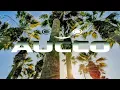 Download Lagu Aucco - UP UP | Rijune ft Wanshan 🎶 (Siren Jam Remix)