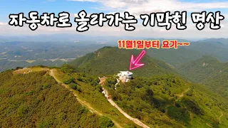 죽기전에 꼭한번 다녀오세요! 자동차타고 해발836m편하게 갈수있는 기막힌 산 썸네일