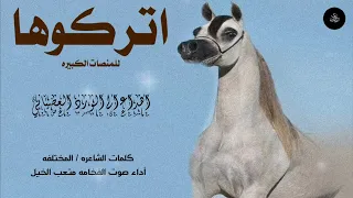 شيلة اتركوها للمنصات الكبيره اداء صوت الفخامه متعب الخيل جديد 2023حصريا 