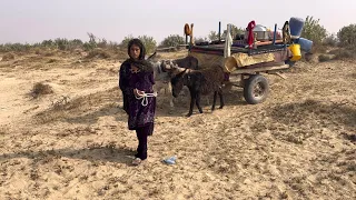 Desert life in Pakistan ||Traditional Life ||Traditional culture in Pakistan ||Village Life 