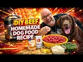 Farmer s Dog DIY Homemade Dog Food Recipe