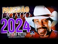 Download Lagu SEVERO NETTO OFICIAL \u0026 GALEGO DO FORRÓ A PEGADA É SHOW / PAREDÃO LIGADO (2024)