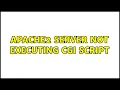 Apache2 server not executing CGI script
