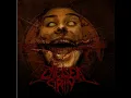 Disgrace - CHELSEA GRIN
