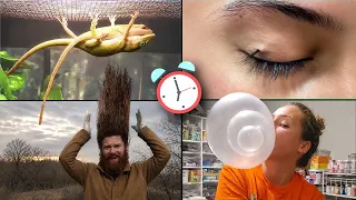 30 COISAS QUE VOCÊ NÃO SABIA EM 5 MINUTOS!!! 🤯🚀 [262]