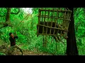 Download Lagu Ep2 Heavy rain, set up a shelter with stones under the tree, make a trap to catch wild boars