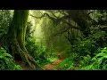 Download Lagu RVB - Jungle Terror Mix #2