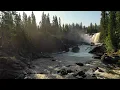 Psalm 46 - Be still and know that I am God