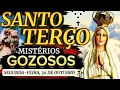 Download Lagu Santo Terço de hoje Segunda-feira (30/10/2023)🌹Mistérios Gozosos🌹Terço Mariano / Terço de Fátima