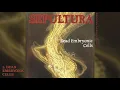Sepultura | Dead Embryonic Cells (1991) | Single