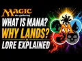 What is Mana Why Do Lands Make it Magic The Gathering Lore Explained
