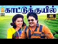 Download Lagu Kattu Kuyil - 4K Video Song | காட்டுக்குயில் பாட்டு | Chinna Mappillai |Prabhu | Sukanya Ilaiyaraaja