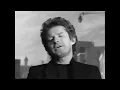 Don Henley - The Boys Of Summer