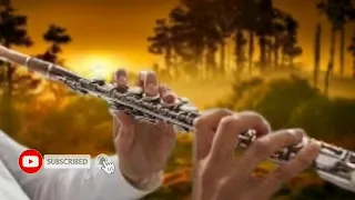               ناي حزين هندي                                                دندنها