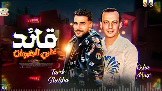 مزمار قائد علي الجيوش   اوشا مصر   طارق شئلشه   توزيع هيكسر السماعات   شعبي جديد     دندنها