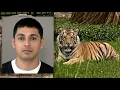 Where s the Houston tiger New mugshot shows Victor Cuevas in Fort Bend jail Top headlines