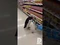Pinguïnsnoeproof! Supermarktuitje 😂🐧