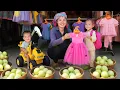 Download Lagu Nhi is ready for school: Harvest honeydews to sell at the market \u0026 buy new clothes for my daughter
