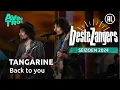 Download Lagu Tangarine - Back to you | Beste Zangers 2024
