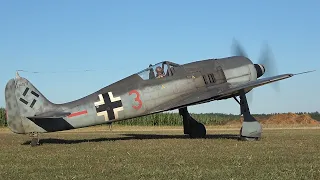 RC FW-190 A8 1/4 SCALE MOKI 250cc