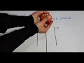 Median Sagittal Plane explained in 2 minutes