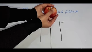 Median Sagittal Plane explained in 2 minutes