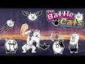 Ranking All Of The Crazed Cats From Easiest To Hardest