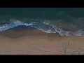East Coast Shore - Signals - Junius Meyvant