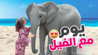 عشت يوم كامل مع الفيل 