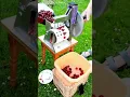 Download Lagu Cherry pitting machine