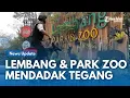 Download Lagu TEGANG  !! Lembang Park Zoo Ditutup Usai Kabar Macan Tutul Lepas dari Kandang