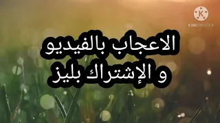 كلمات اغنية مهوجان اسكت ياقلبي اسلام نبوى مكتوبة وكاملة 