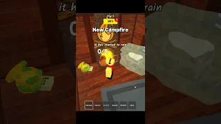 New Campfires 99 Nights In The Forest 